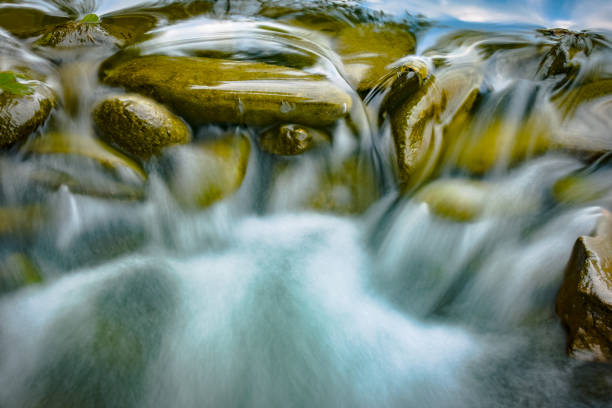 A tranquil setting featuring a clear waterfall cascading in a tranquil forest. The scene showcases lush greenery, moss-covered stones, and a serene stream, creating a soothing and picturesque environment perfect for relaxation and nature appreciation.