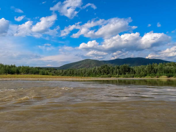 Landscape of a full-flowing mountain river on a summer evening