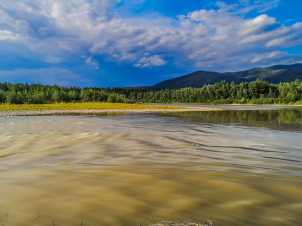 Landscape of a full-flowing mountain river on a summer evening