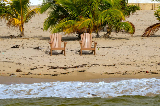 Two wooden chairs near the water's edge on a beach covered in driftwood. No people. Holiday concept..