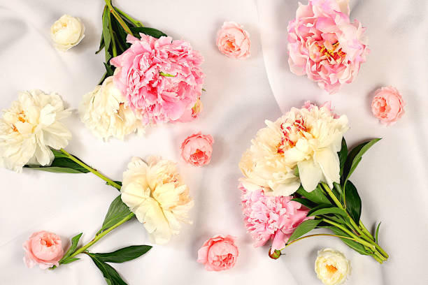 istock Abstract floral arrangement, flat lay, beautiful peonies on an elegant background, spring and summer banner. Creative modern bouquet. Mother's Day card, happy birthday, wedding, holiday concept with flowers, 2159046602