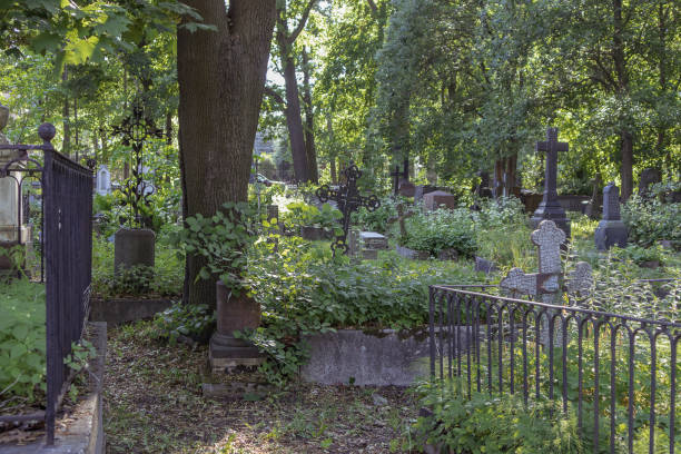 istock Old Lutheran cemetery surrounded by trees, summer 2159052808