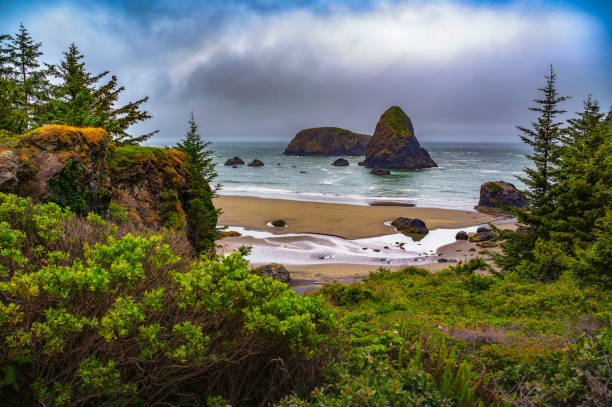 istock Coastal landscape at Samuel H. Boardman State Scenic Corridor 2159054905