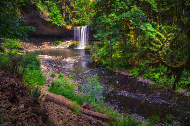 istock Beaver Falls cascading into a serene pool surrounded by dense forests of Oregon 2159054917