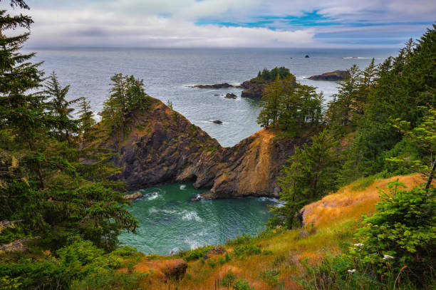 istock Natural Bridges along the Oregon coast with rugged cliffs and the Pacific Ocean 2159054941