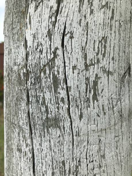 Plates on green timber power line pole with green H -hydrant marker