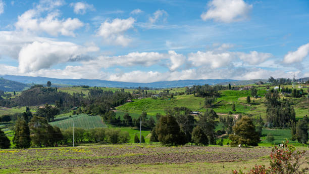 istock Panoramic image of landscape with crop fields in Colombia. 2159063955