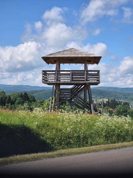 istock observation tower, wooden, observatory, mountain 2159069710