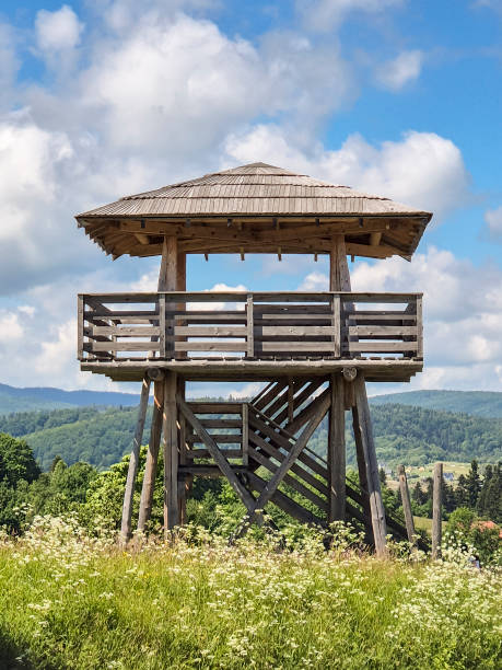 istock observation tower, wooden, observatory, mountain 2159069711