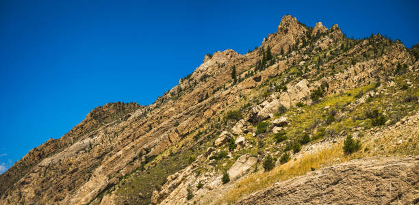 Aerial still of Shoshone National Forest, Wyoming, on a clear day in Fall.