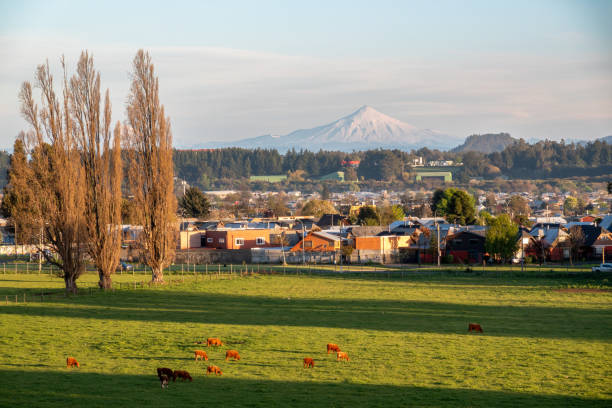Villarrica volcano agricultural fields near to Temuco in southern Chile