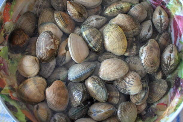 clams are delicious when cooked with a sauce