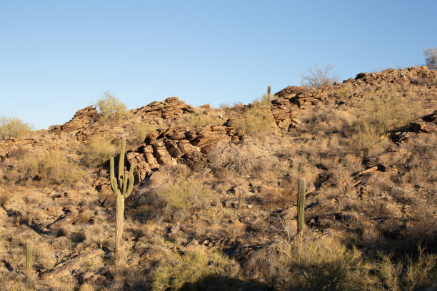 Rural Nevada, Nye County