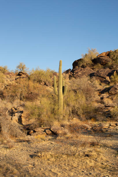 istock South Mountain Reserve in Phoenix, Arizona 2159071705