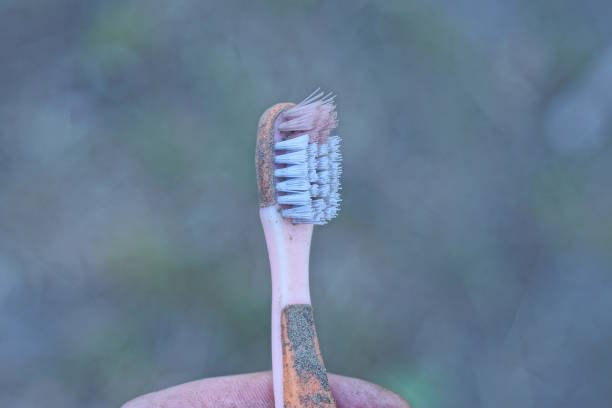 Close up macro color image depicting new electric toothbrush heads in a row on a white background.
