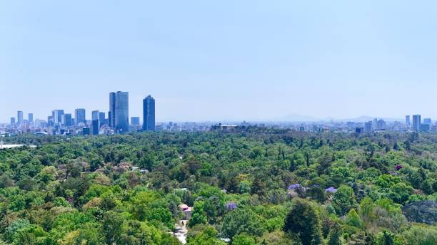 istock Forest with Mexico city in the background 2159079267