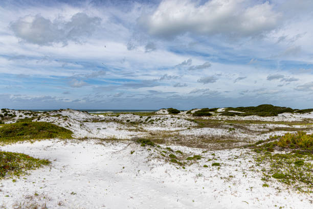 istock Topsail Hill Reserve State Park Sand Dunes 2159083483