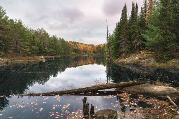istock Looking east along a lake from Centennial Ridges Trail in Algonquin Provincial Park, Ontario, Canada 2159086823
