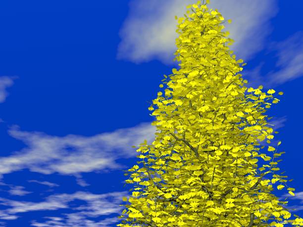 This is a picture I imagined.\nI do not use photos or illustrations for reference.\nImage rendered by 3D software.\nI'm not using \