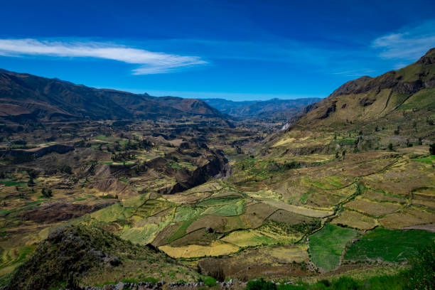 istock A view of cultivation terraces at Colca Canyon, Chivay, Peru 2159103608