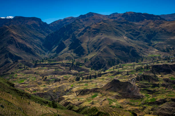 istock A view of cultivation terraces at Colca Canyon, Chivay, Peru 2159103627
