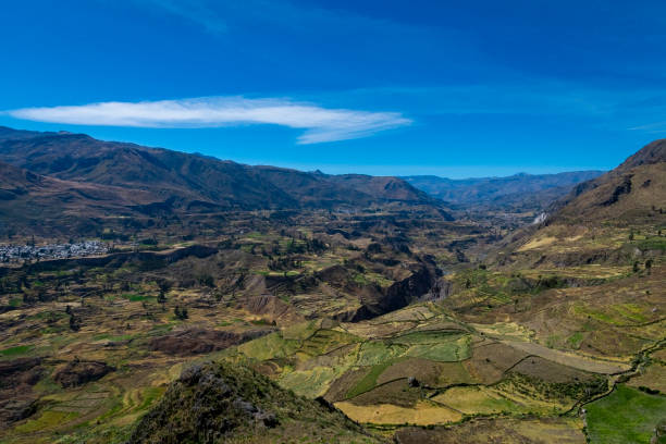 istock A view of cultivation terraces at Colca Canyon, Chivay, Peru 2159103650