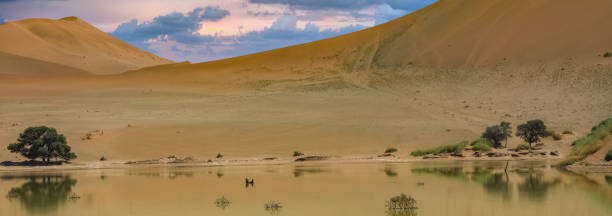 istock Namibia, reflection of the dunes in the Namib desert 2159113842