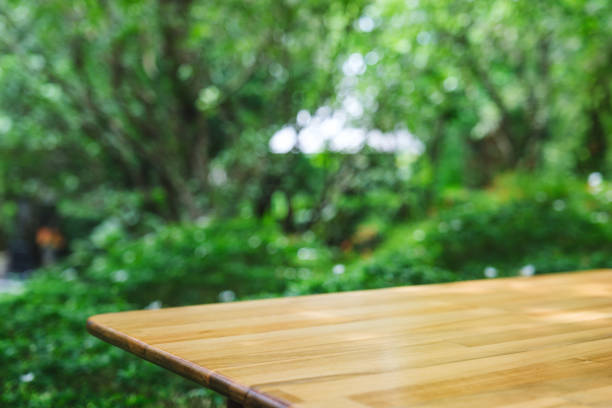 istock Wooden table in the garden 2159115665