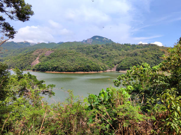 istock Pok Fu Lam reservoir, Hong Kong 2159118521