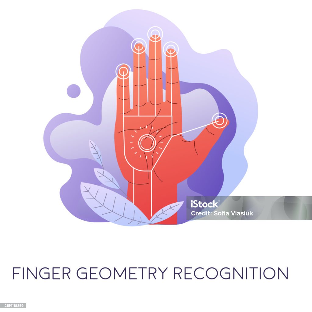 Hand Geometry Scan Finger Geometry Recognition Scanning Hand For Access Vector Stock ...