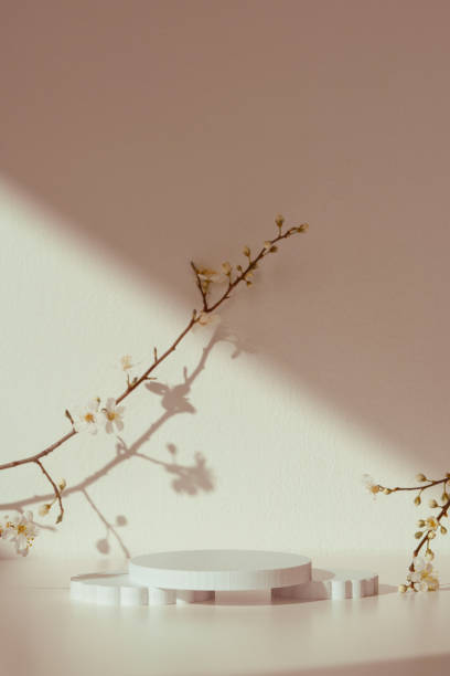 istock Blooming spring branches with flowers and its shadow on beige background 2159123371