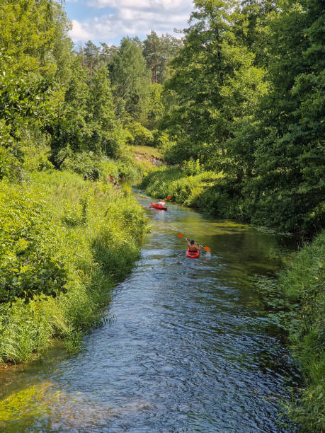 istock The small and wild Grabia river in central Poland. 2159124074