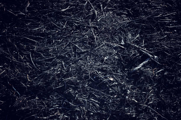 Top view image of black scorched ground