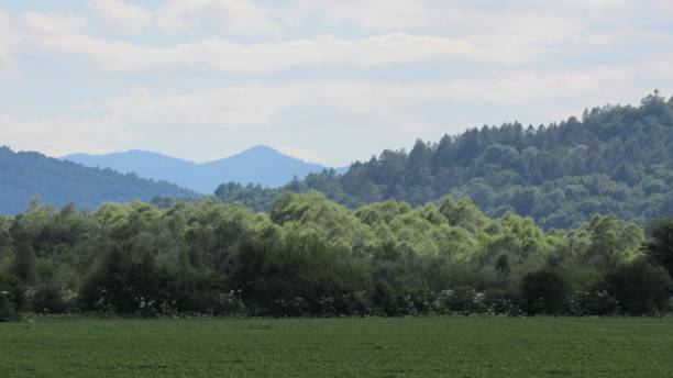 istock a beautiful view of a green field and mountains 2159129130