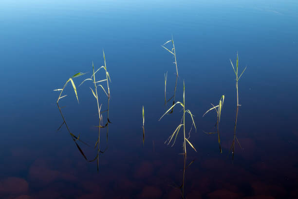 calm blue scenery in Oulu, Finland