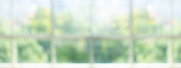 istock Blur big window with abstract green garden  background.glass wall 2159130952