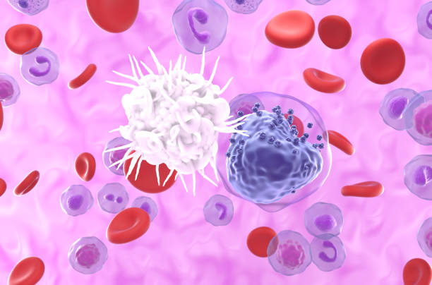 istock Dendritic cell (DC) recognize Acute myeloid leukemia (AML) - closeup view 3d illustration 2159131277