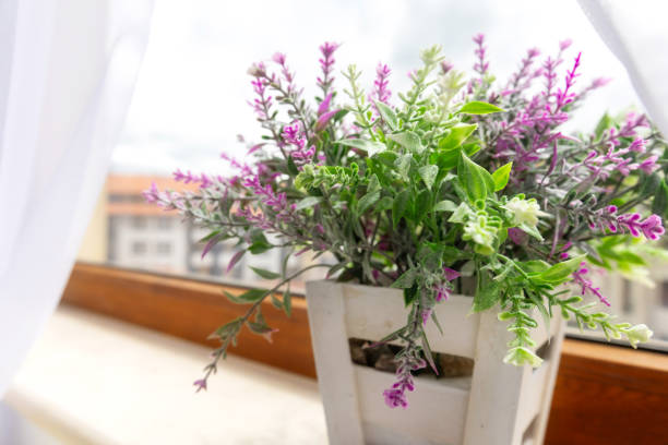 istock Artificial plant purple flower on window sill 2159135160