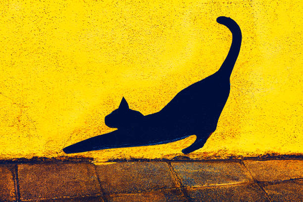 Cat silhouette is stretching out on a yellow wall. The cat is in a pose that looks like it is doing a yoga pose