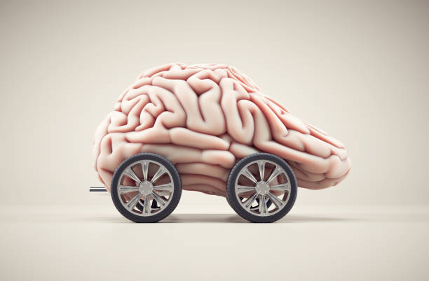 istock Brain in the shape of a car on wheels. 2159142155
