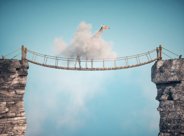 istock Giraffe crossing a suspension bridge between two rocks 2159142171
