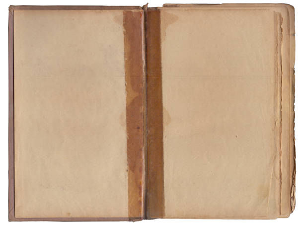 istock Vintage empty background of old book spread paper texture 2159144123