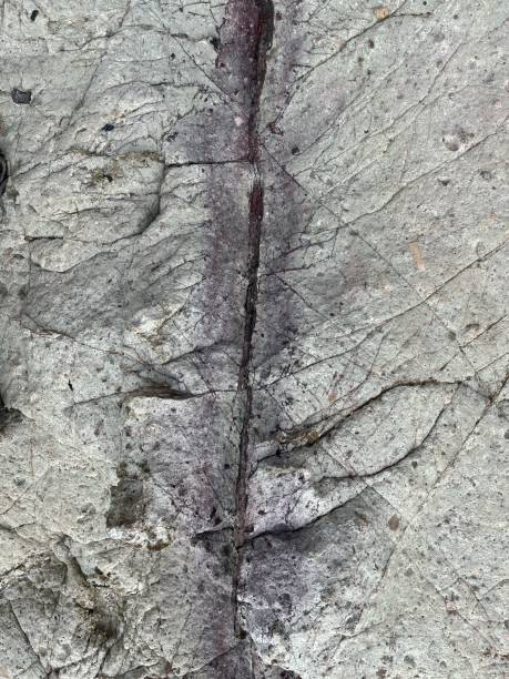istock Close up of natural hard stone 2159145456