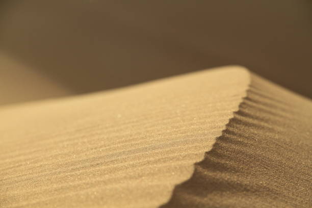 istock Macro of the Moroccan desert 2159146703