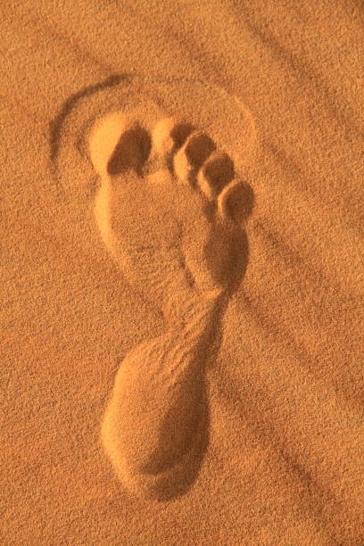 Footprint at the sunset in the Sahara