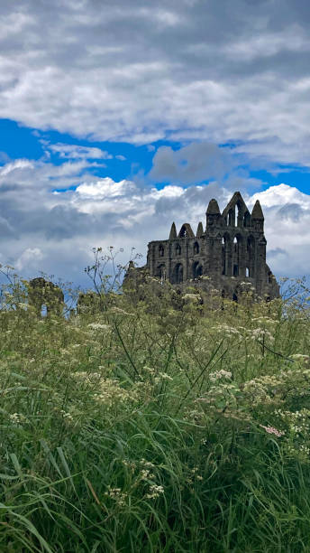 istock View of Whitby Abbey 2159148789
