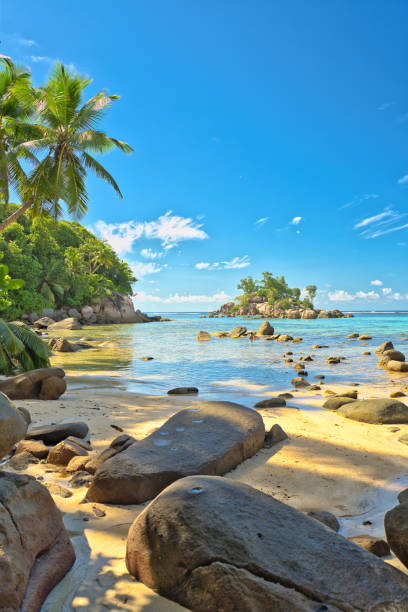 istock Turquoise water, low tide sunny day  and granite rock boulders 2159151885