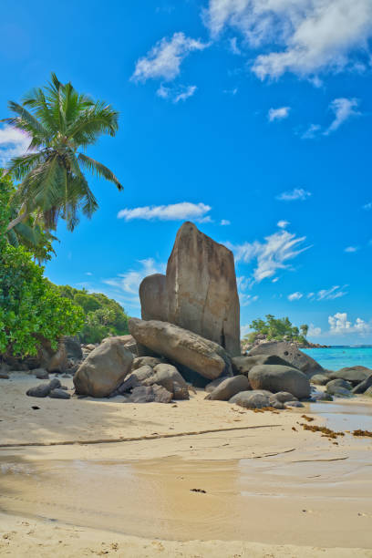 istock Turquoise water, low tide sunny day  and granite rock boulders 2159152190
