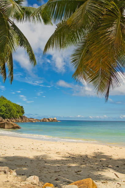 istock Sunny day with blue sky and white sandy beach, turquoise water 2159152230