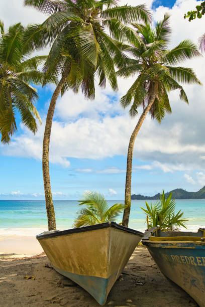 A picturesque beach in Goa, India, featuring palm trees, sandy shores, and fishing boats. The serene atmosphere and scenic surroundings provide a perfect destination for relaxation and tropical exploration.